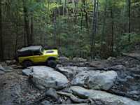 tellico1005-52.jpg